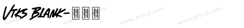 Vtks Blank字体转换